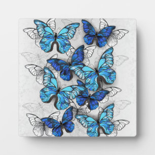Composition of White and Blue Butterflies Plaque