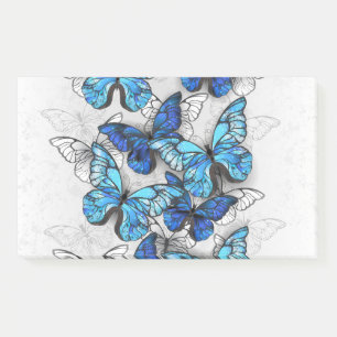 Composition of White and Blue Butterflies Post-it Notes