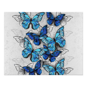 Composition of White and Blue Butterflies Poster