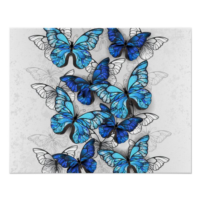Composition of White and Blue Butterflies Poster (Front)
