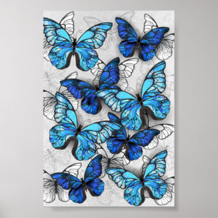 Composition of White and Blue Butterflies Poster