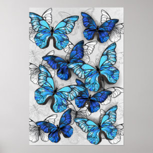 Composition of White and Blue Butterflies Poster