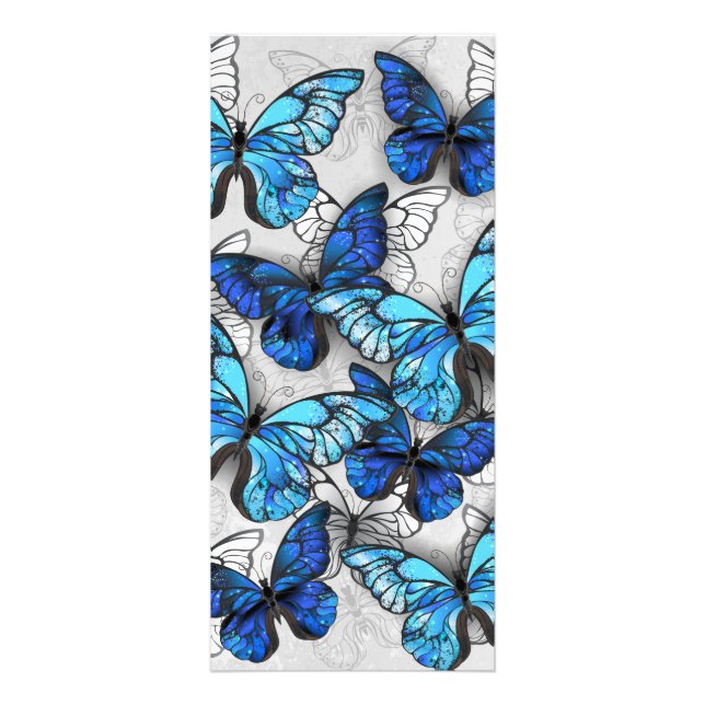 Composition of White and Blue Butterflies Rack Card (Front)