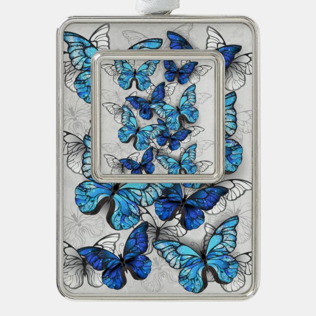 Composition of White and Blue Butterflies Silver Plated Framed Ornament (Front)