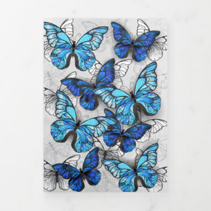 Composition of White and Blue Butterflies Tri-Fold Card