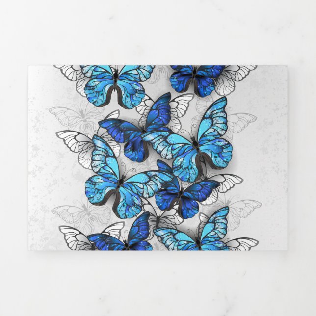 Composition of White and Blue Butterflies Tri-Fold Programme (Cover)