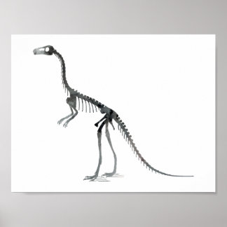 compsognathus skeleton poster