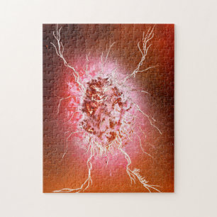 Computer Bug Jigsaw Puzzle