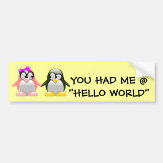 Computer Geek Valentine: Programming Language Love Bumper Sticker