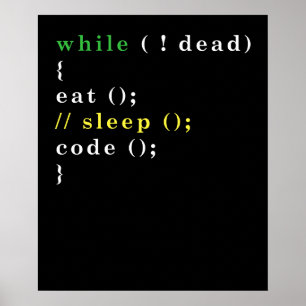 Computer Science Python Programmer Eat Code Sleep Poster