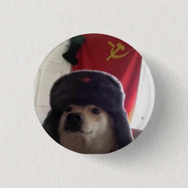 Dog with hotsell soviet hat