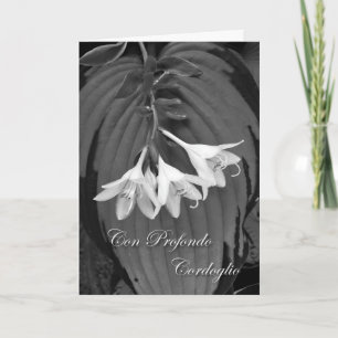 Con Profondo Cordolio, Sympathy in Italian, Hosta Card
