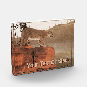 Concentration - Cougar Photo Block