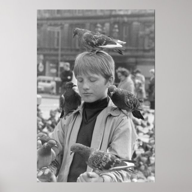 Concentration for a young St Francis 1968 Poster (Front)