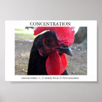 Concentration