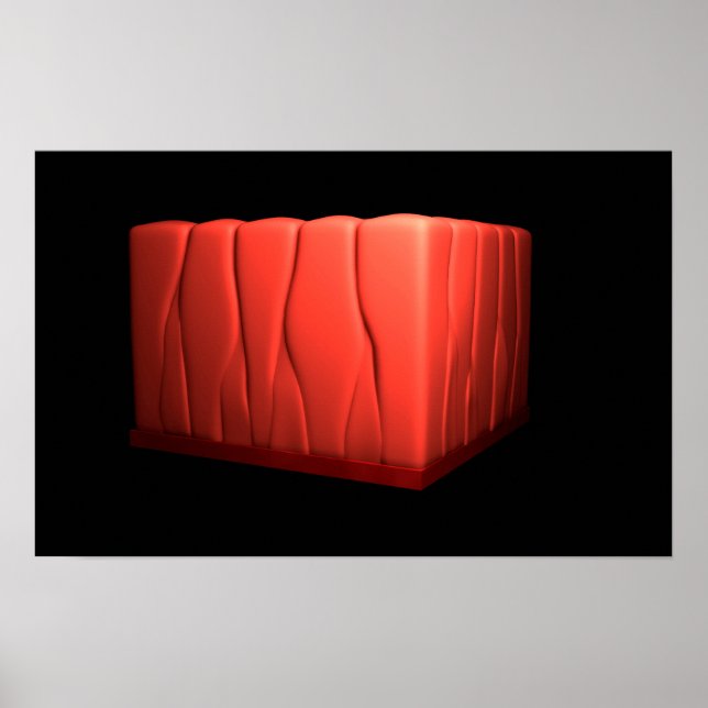 Concept Of Pseudostratified Columnar Epithelium Poster (Front)