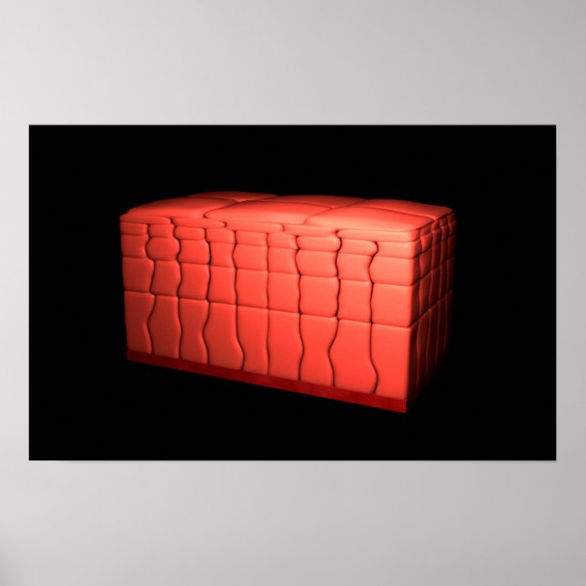 Concept Of Stratified Squamous Epithelium 1 Poster (Front)