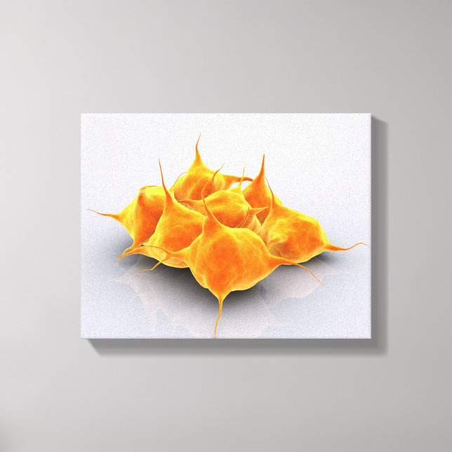 Conceptual Image Of A Group Of Platelets Canvas Print (Front)