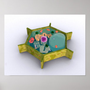 Conceptual Image Of A Plant Cell Poster