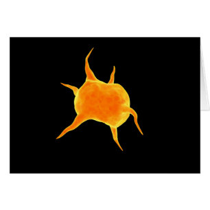 Conceptual Image Of A Platelet