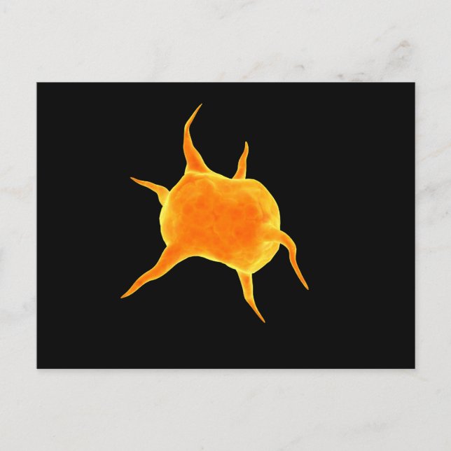 Conceptual Image Of A Platelet Postcard (Front)