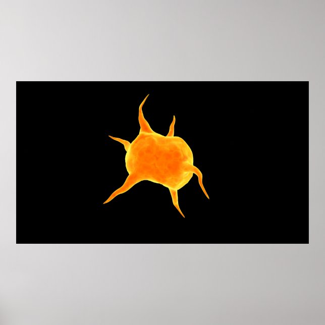 Conceptual Image Of A Platelet Poster (Front)