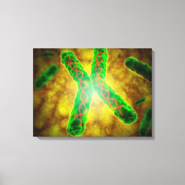 Conceptual Image Of A Telomere Canvas Print (Front)
