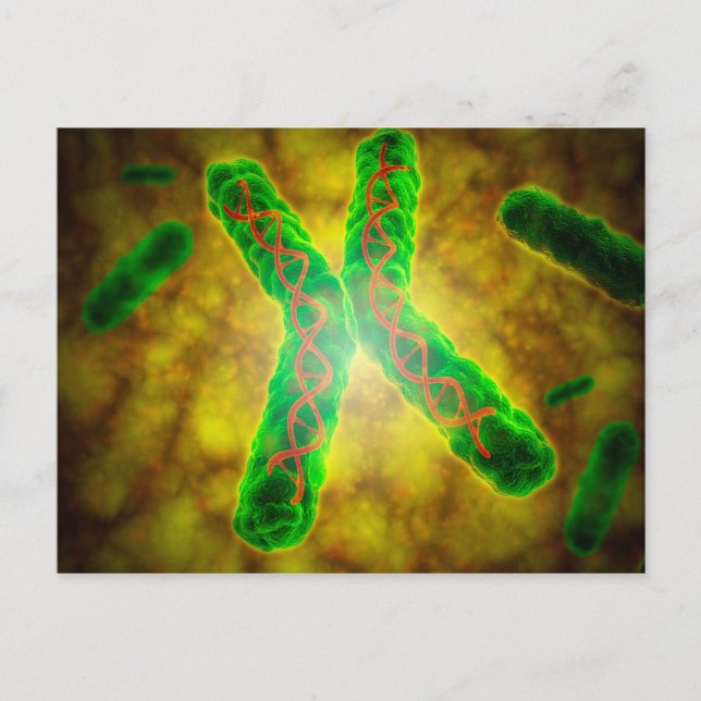 Conceptual Image Of A Telomere Postcard (Front)