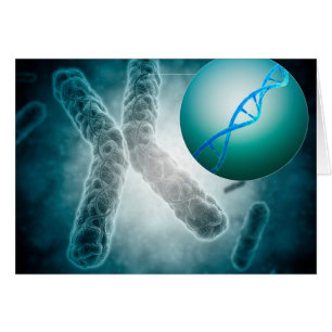Conceptual Image Of A Telomere Showing DNA