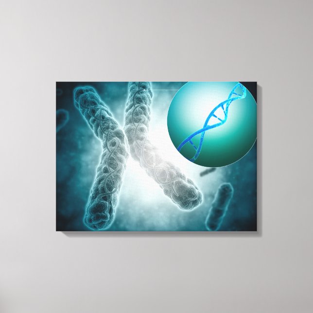 Conceptual Image Of A Telomere Showing DNA Canvas Print (Front)