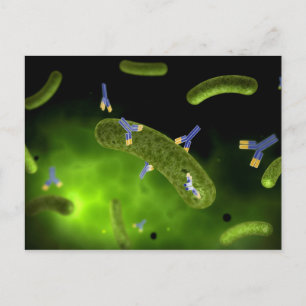 Conceptual Image Of Antibody Killing Bacteria Postcard
