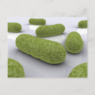 Conceptual Image Of Bacteria 1 Postcard
