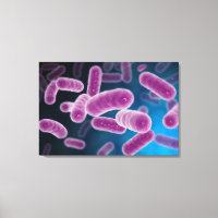 Conceptual Image Of Bacteria 3