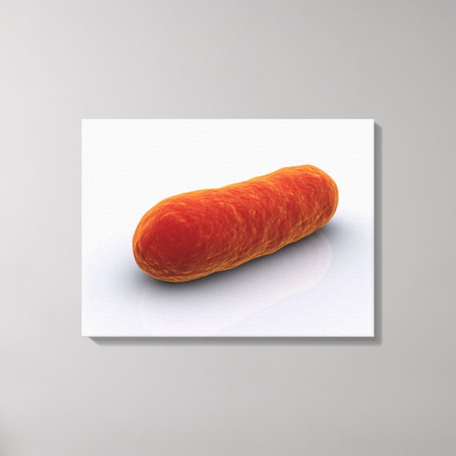 Conceptual Image Of Bacteria 4 Canvas Print (Front)