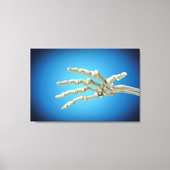 Conceptual Image Of Bones In Human Hand 1 Canvas Print (Front)