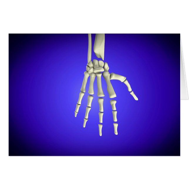 Conceptual Image Of Bones In Human Hand 2 (Front Horizontal)