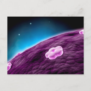 Conceptual Image Of Cell Nucleus Postcard