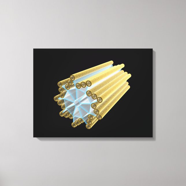 Conceptual Image Of Centriole Canvas Print (Front)