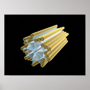 Conceptual Image Of Centriole Poster