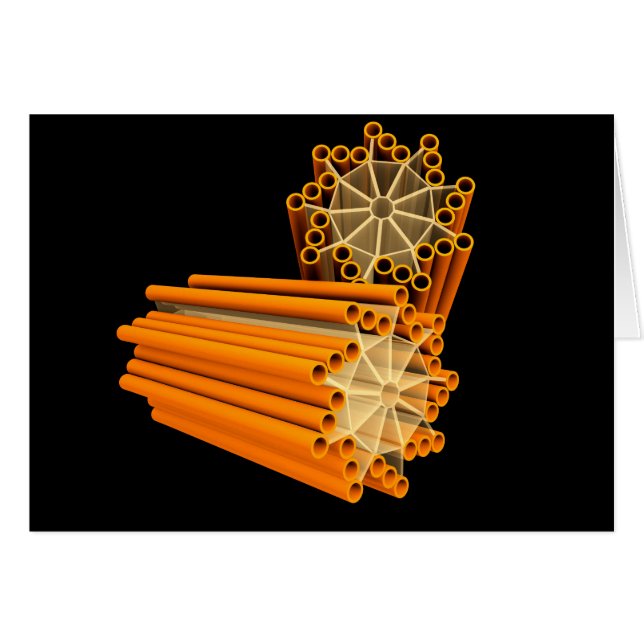 Conceptual Image Of Centrioles 1 (Front Horizontal)