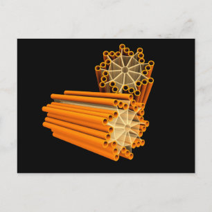 Conceptual Image Of Centrioles 1 Postcard