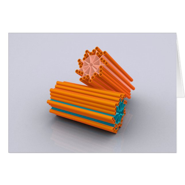 Conceptual Image Of Centrioles 2 (Front Horizontal)