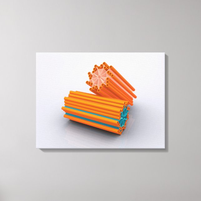 Conceptual Image Of Centrioles 2 Canvas Print (Front)