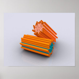 Conceptual Image Of Centrioles 2 Poster