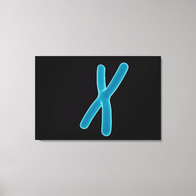 Conceptual Image Of Chromosome 3 Canvas Print (Front)