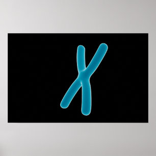 Conceptual Image Of Chromosome 3 Poster