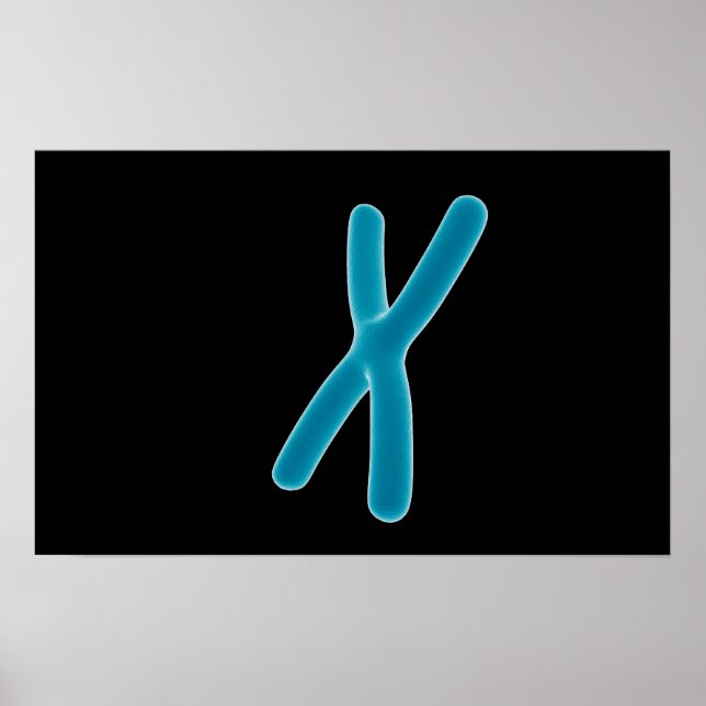 Conceptual Image Of Chromosome 3 Poster (Front)