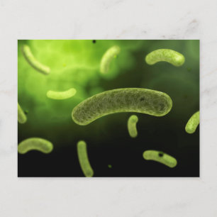 Conceptual Image Of Common Bacteria Postcard