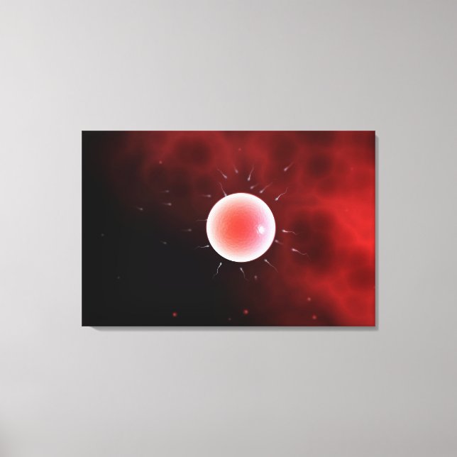 Conceptual Image Of Common Fertilisation Canvas Print (Front)