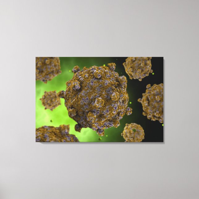 Conceptual Image Of Coxsackievirus 2 Canvas Print (Front)